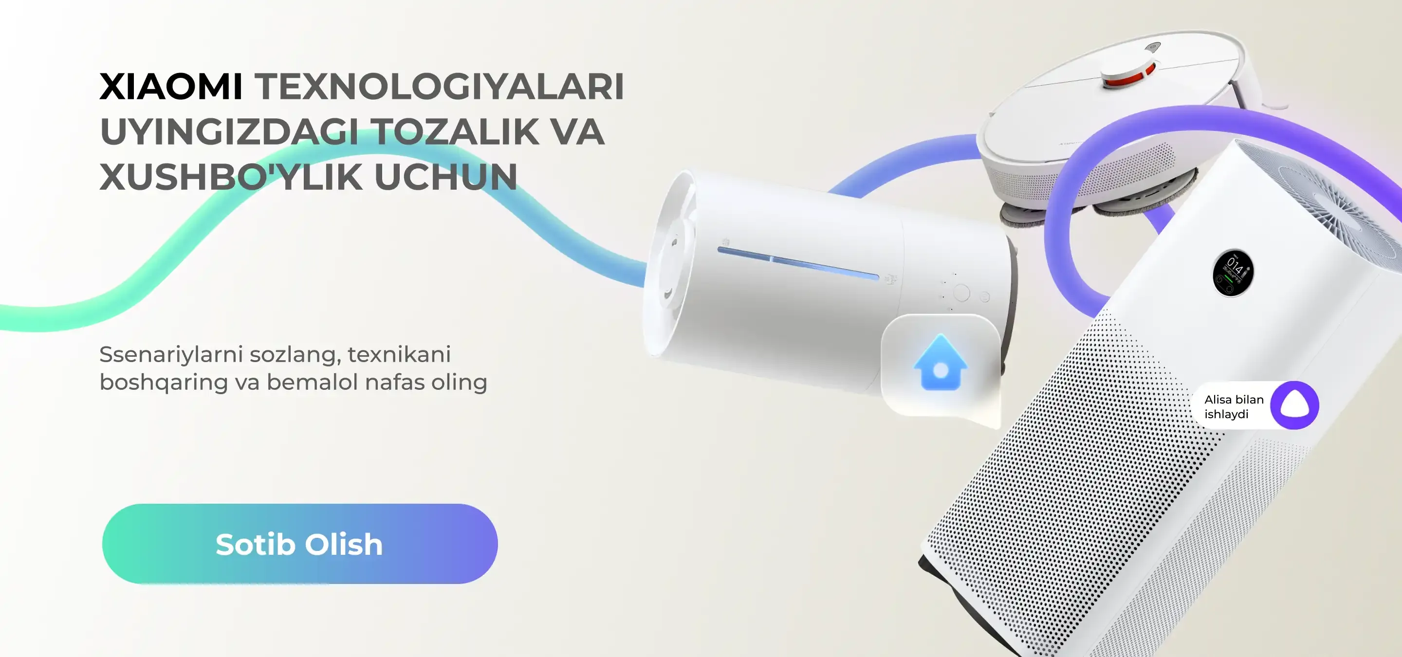 Xiaomi ecosystem