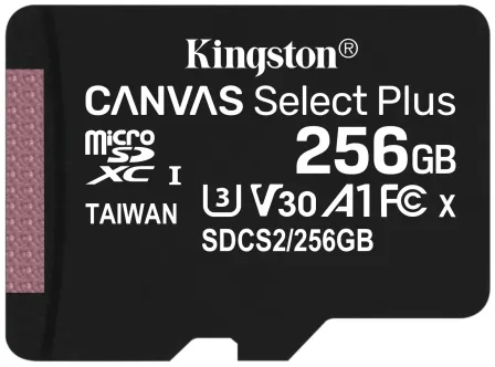 Карта памяти Kingston Canvas Select Plus SDCS2 256 GB [SDCS2 / 256GB]