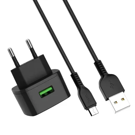 Зарядка Hoco C70A for micro