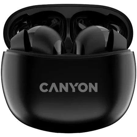 Беспроводные наушники Canyon TWS-5 Black